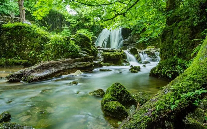 稳定性高效环保
